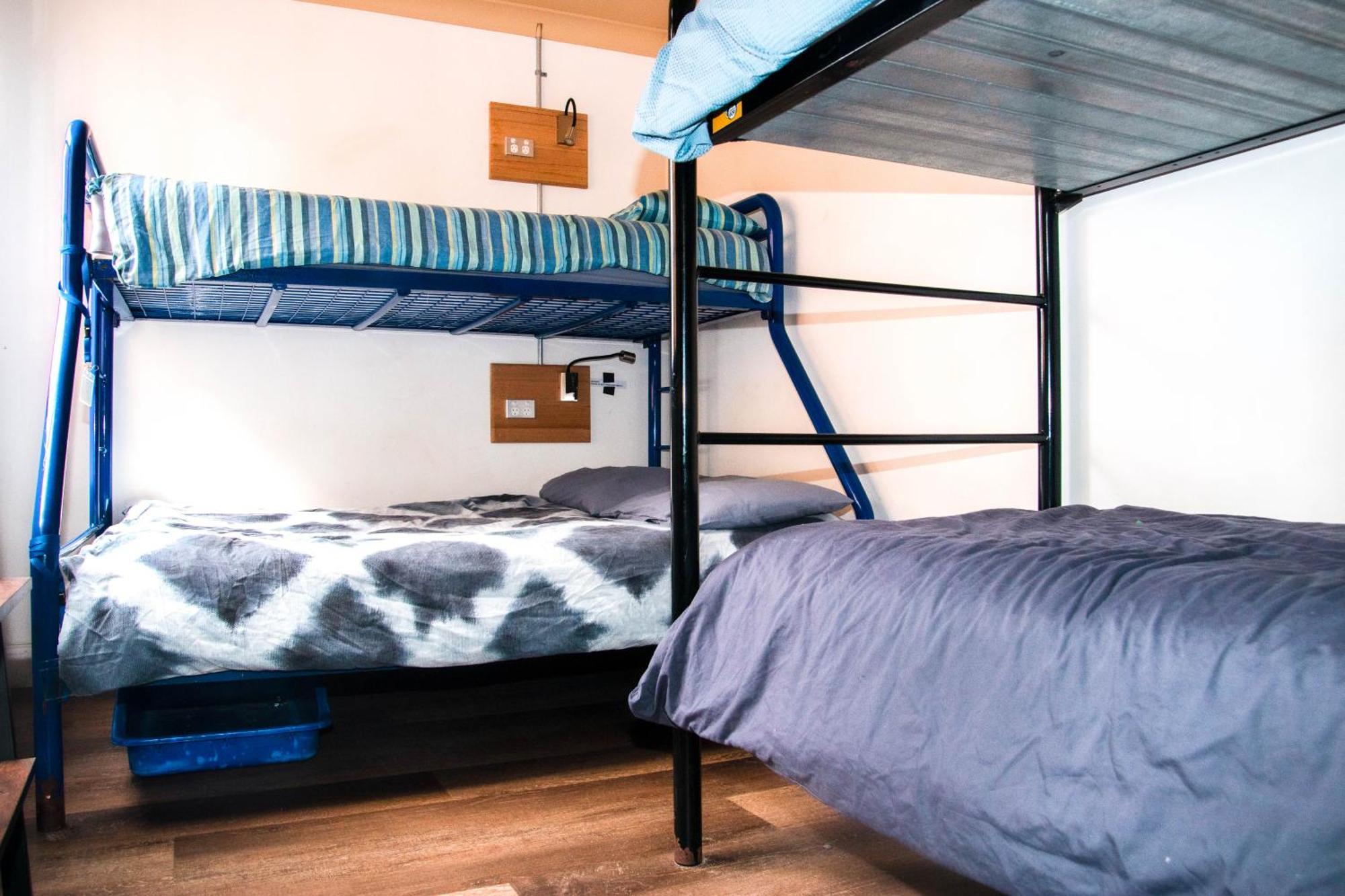 Randwick Mad Monkey Hostel Coogee Beach מראה חיצוני תמונה